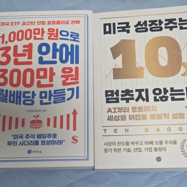 [BUNJANG] Dividend Stocks and Growth Stocks: US Investment Strategy Books (New) / 미국주식 투자서 배당주 새책
