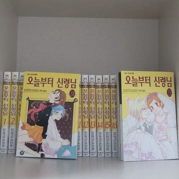 [BUNJANG] Kamisama Kiss Complete Manga Set Volumes 1-25 / (이번 주만 이 가격) 오늘부터 신령님 만화책 전권