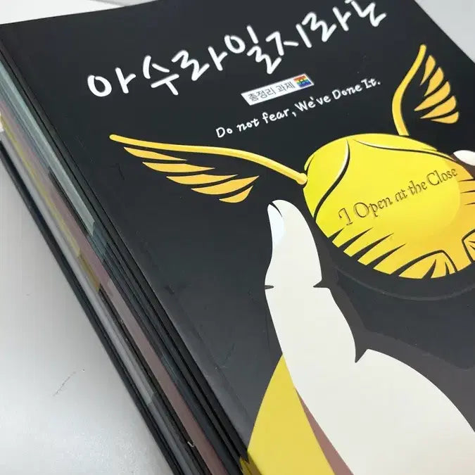 [BUNJANG] Kim Seung-ri Asura Iljilado Comprehensive Assignment Textbook / 김승리 아수라일지라도 총정리 과제