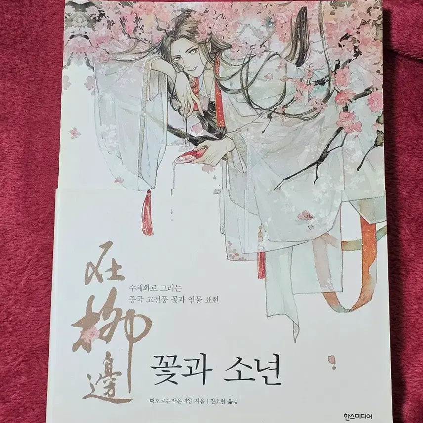 [BUNJANG] How to Draw: Flowers and Boys Drawing Guide / 드로잉 작법서(꽃과 소년)