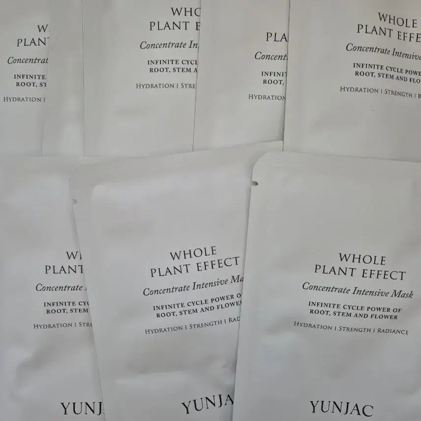 [BUNJANG] Yonjae Jeoncho Concentrate Intensive Mask Pack 8 Sheets / 연작 전초 컨센트레이트 인텐시브 마스크팩 8매