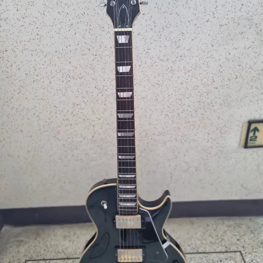 [BUNJANG] Segovia SEG-300 Les Paul Electric Guitar with Bag & Picks / 세고비아 SEG-300 레스폴 일렉기타& 가방 & 피크