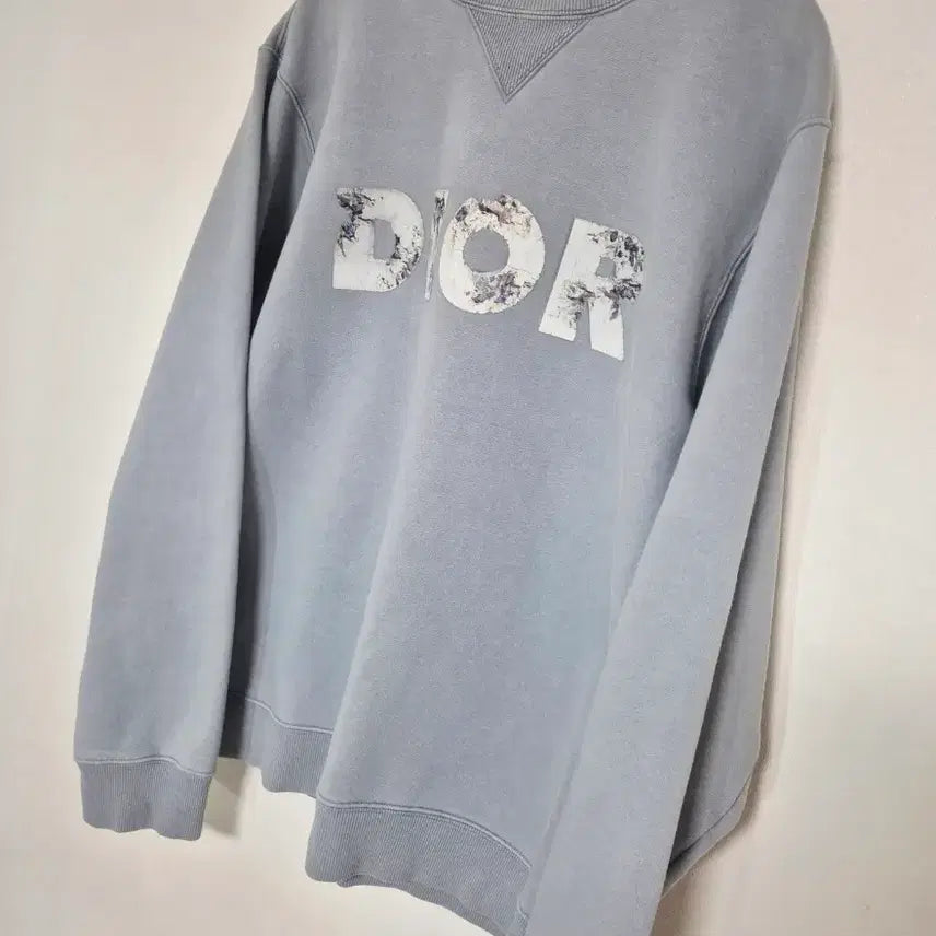 [BUNJANG] Dior Daniel Arsham Sweatshirt Knit M / (정품) 디올 다니엘 아샴 맨투맨 니트 M