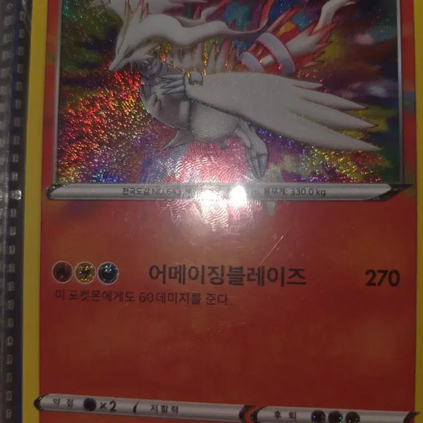 [BUNJANG] Pokemon Card Reshiram Amazing Blaze / 포켓몬 카드 레시라무 어메이징블레이즈