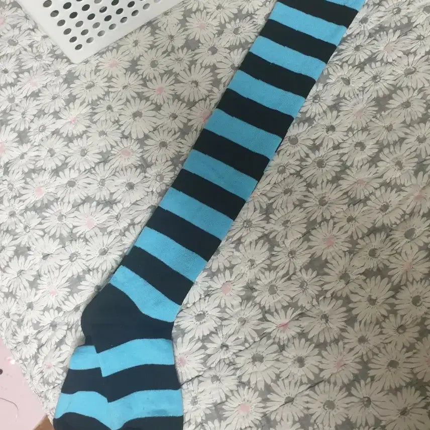 [BUNJANG] Emo Cinnkid Striped Long Socks - Blue / 이모 씬키드 양말 블루