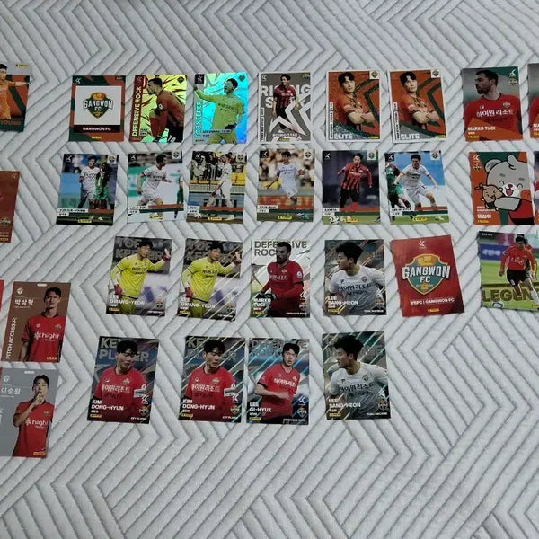 [BUNJANG] K League Panini Trading Cards - Various Clubs / K리그 파니니 교환 및 판매 (다수 구단 보유)