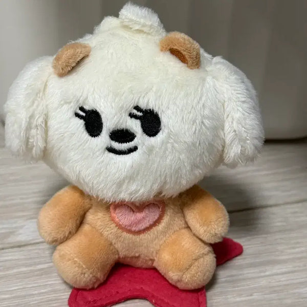 [BUNJANG] TXT Bbultu Bamgut Beomgyu Photocard Holder / 투바투 뿔바투 밤긋 범규