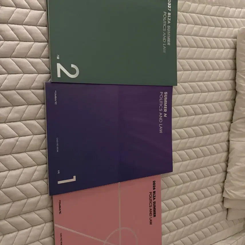 [BUNJANG] Daesung MyMac Choi Yeoreum Politics and Law Study Materials / 대성마이맥 최여름 정치와법 교재 판매