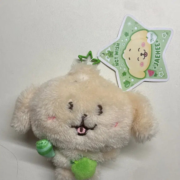 [BUNJANG] Daengtree Daeng Wish Doll / 댕트리버 댕트 위시돌