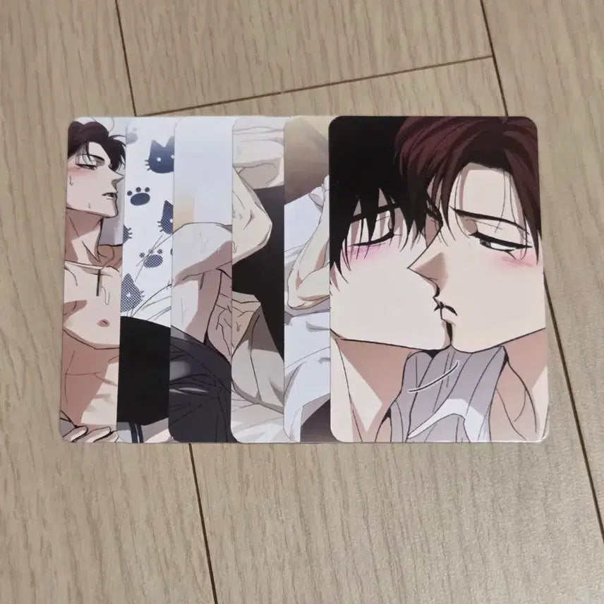 [BUNJANG] Hoho Sangbak Bundle Set Photocards / 호호상박 포카 6종 일괄