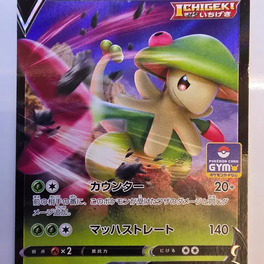 [BUNJANG] Pokemon Card Japanese Promo Kinoga V / 포켓몬카드 일판 프로모 키노가사V