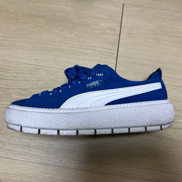[BUNJANG] Puma x ADER Error Suede Platform Blue / 1회착용 푸마 X 아더에러 콜라보 스웨이드 플랫폼 블루
