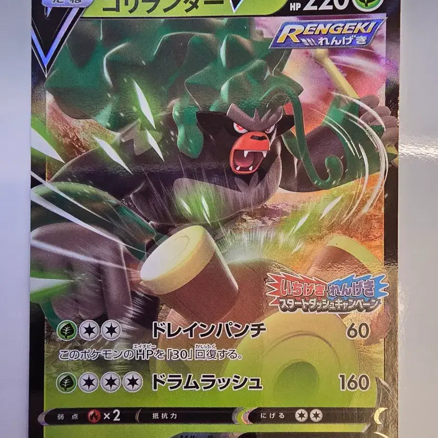 [BUNJANG] Pokemon Card Japanese Exclusive Promo / 포켓몬카드 일판 프로모