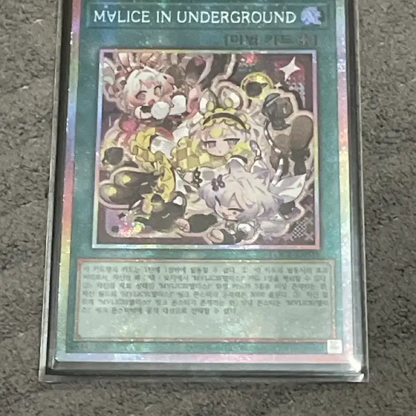 [BUNJANG] Malice in Underground French Fries Special Edition / 맬리스 인 언더그라운드 프싴