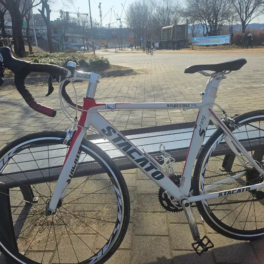 [BUNJANG] STACATO SUPREME 105 Road Bike / STACATO SUPREME 105 로드 자전거