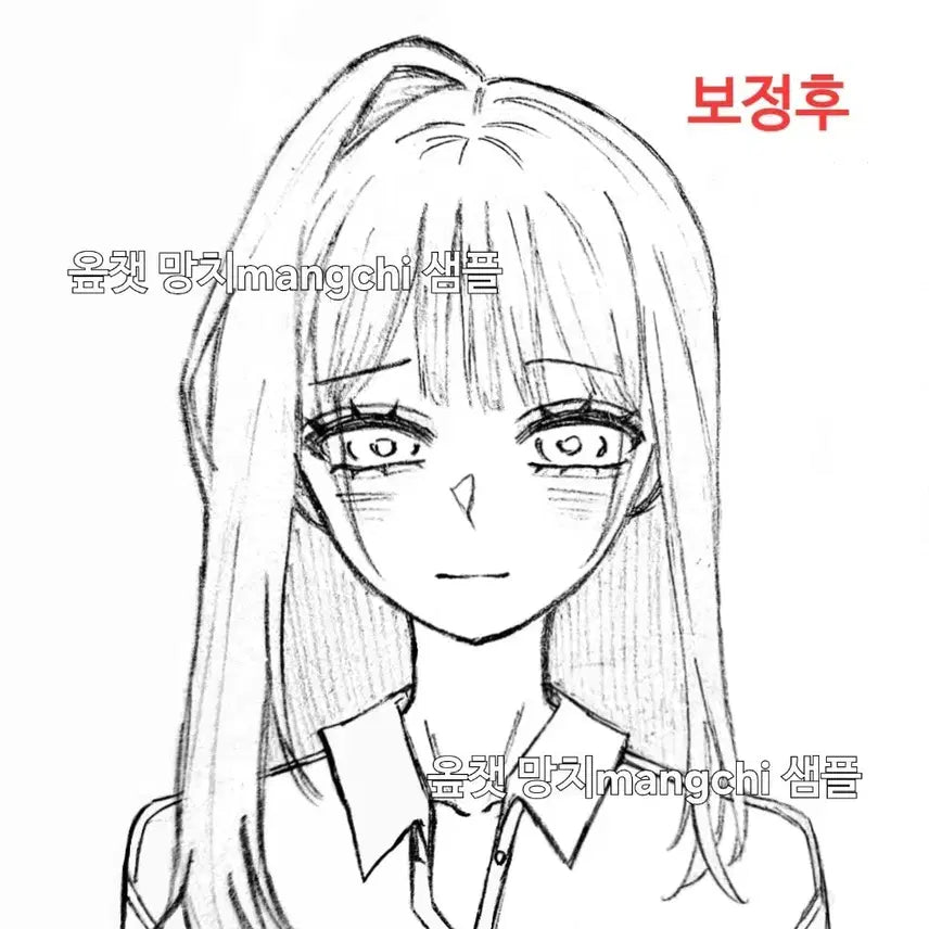 [BUNJANG] Custom Digital & Hand-Drawn Portrait Commission / 손그림 낙서 커미션 디지털 증사 고정틀 커미션