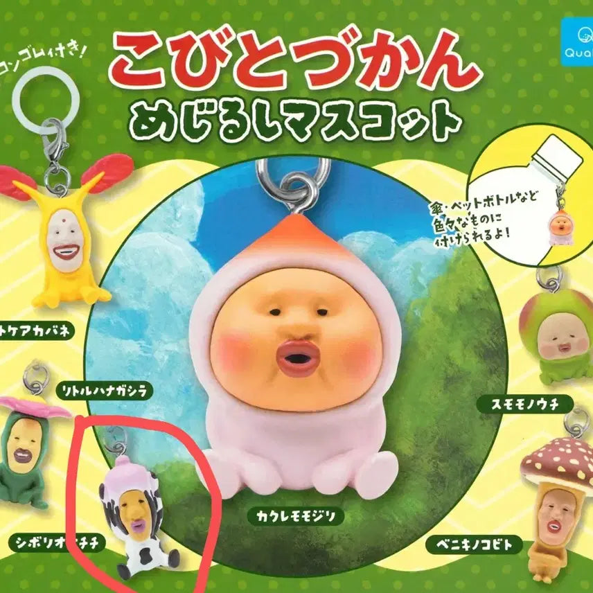 [BUNJANG] Kobitozukan Shibirioootchi Meshi / 코비토즈칸 메지루시 시보리오오치치
