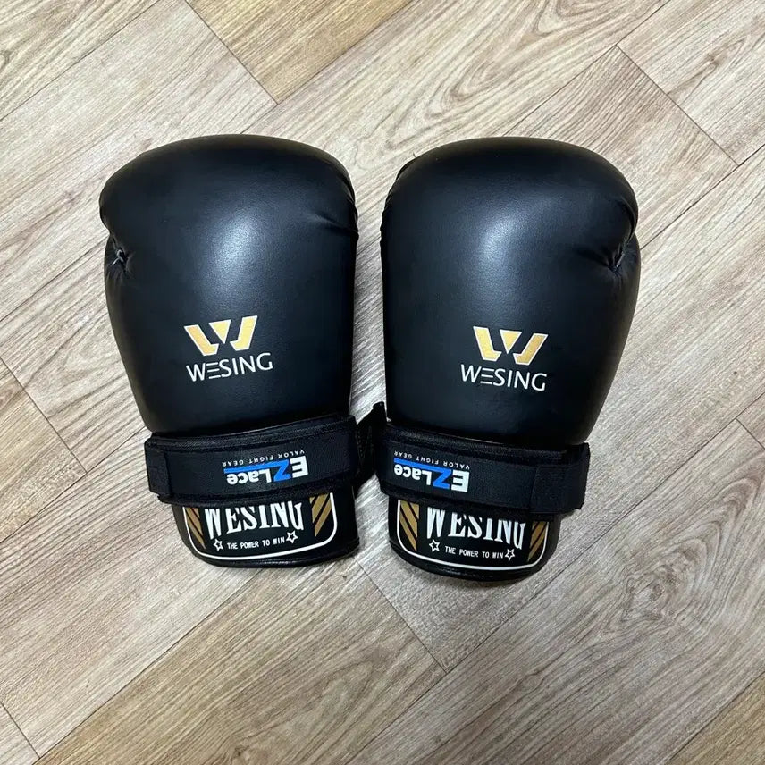 [BUNJANG] WISHING 8oz Boxing Gloves with Easy Lace / 위싱 8온스 백글러브 + 이지레이스