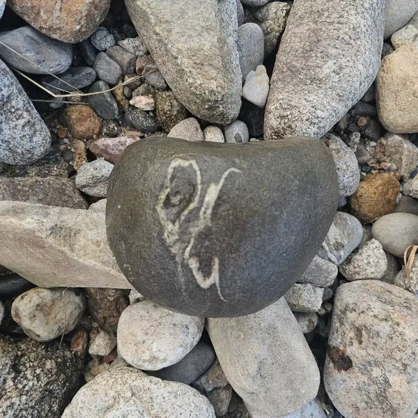 [BUNJANG] Natural Scholar Stone with Crane Motif / 수석 자연석 학 문양석 크기 20센치정도