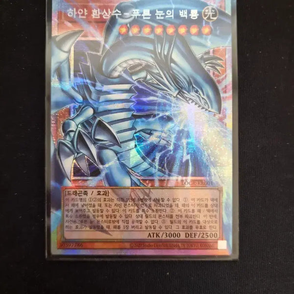 [BUNJANG] Yu-Gi-Oh! Blue-Eyes White Dragon Over-Rescued / 유희왕 하얀 환상수 푸른 눈의 백룡 오버 프시크