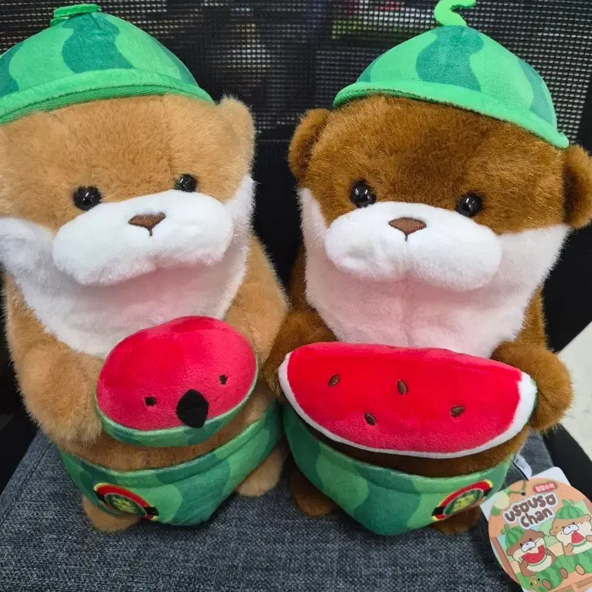 [BUNJANG] Daldal Watermelon 'Woosoo Woosoo' Set of 2 / 달달수박 우소우소짱 2개세트