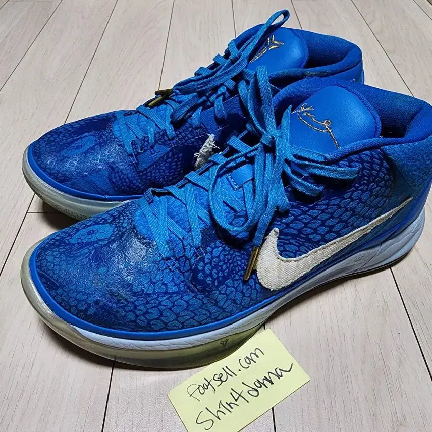 [BUNJANG] Nike Kobe AD DeMar DeRozan Blue PE NBA / 나이키 코비 A.D. 더마 드로잔 블루 PE NBA