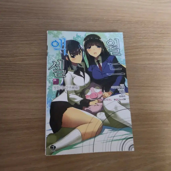 [BUNJANG] Accel World Vol. 24 Light Novel / 액셀월드 24권 라이트노벨