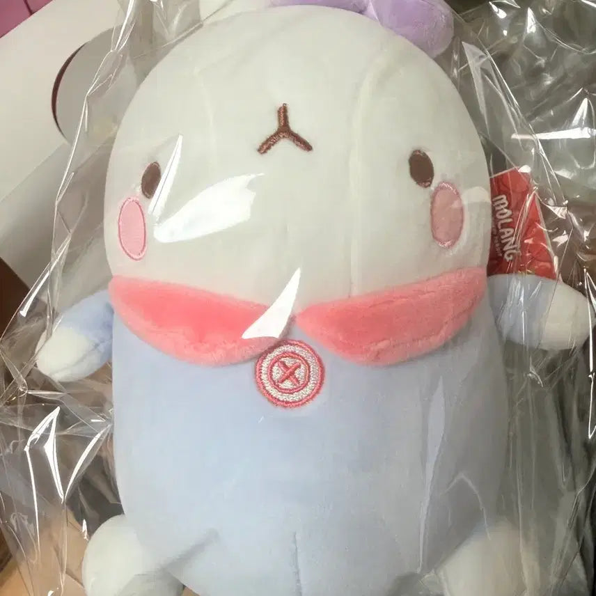 [BUNJANG] Molang 25cm Plush Doll / 몰랑이 인형