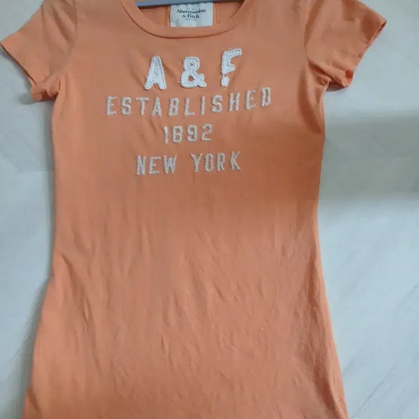 [BUNJANG] Abercrombie & Fitch Short Sleeve T-Shirt Orange S / 아베크롬비앤피치 반팔티 오렌지s