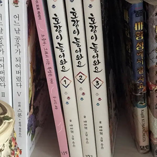 [BUNJANG] Horangi Deureowayo Naver Webtoon Volumes 1-3 Bundle Set / 호랑이들어와요 네이버웹툰 네웹 1~3권 일괄