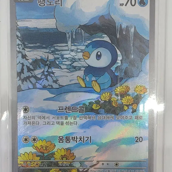 [BUNJANG] Pokemon Card Turtwig AR / 포켓몬카드 팽도리 AR