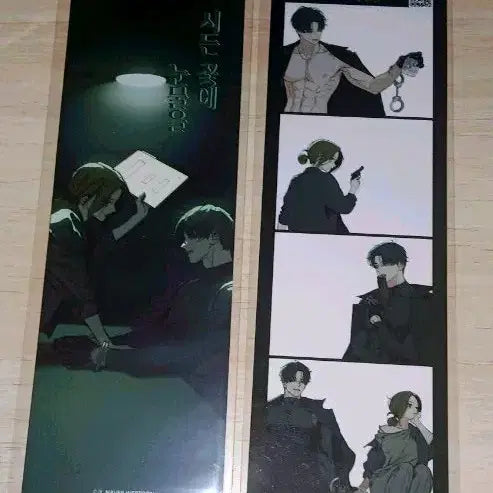 [BUNJANG] Sidenkkoteneunmureul Photoism Photocard / 시든꽃에눈물을 포토이즘