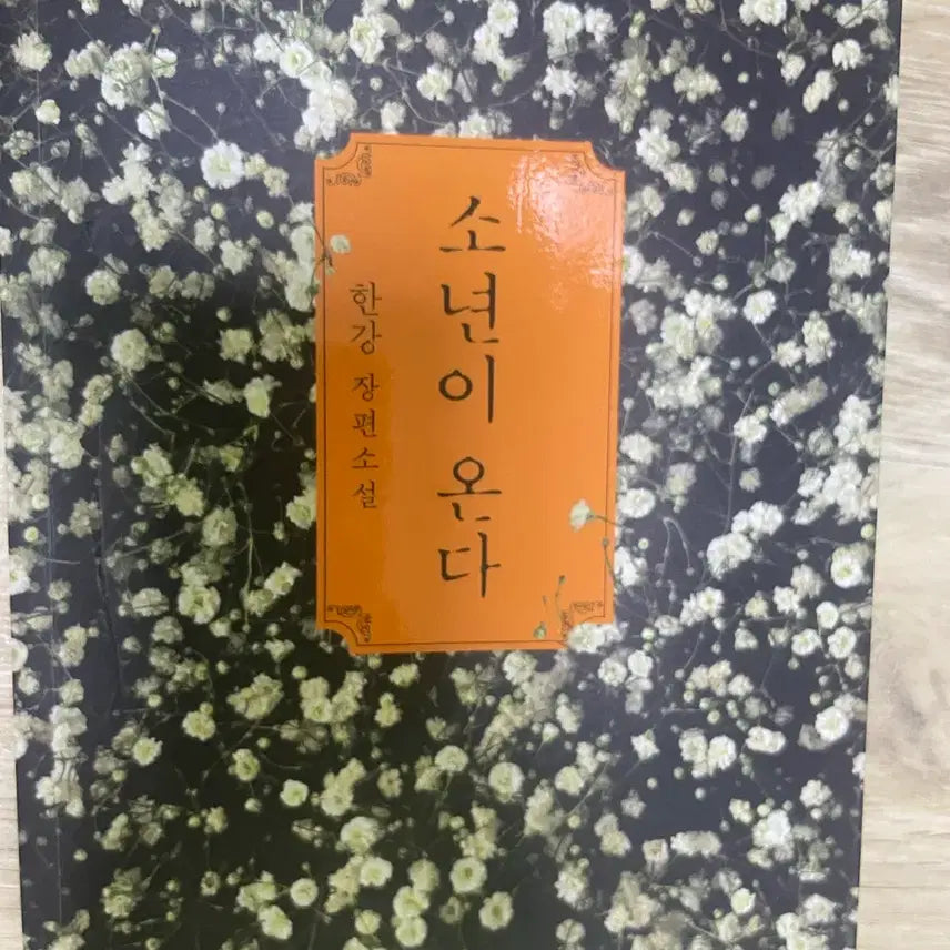[BUNJANG] Han Kang "The Vegetarian" Novel / 소년이 온다 한강 장편소설