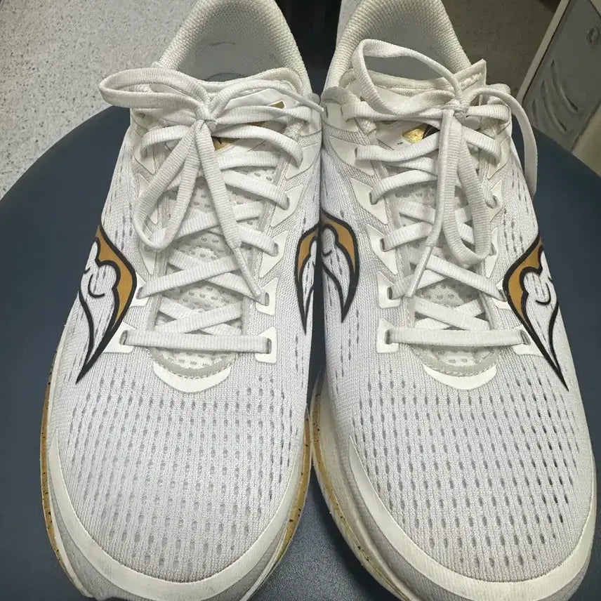 [BUNJANG] Saucony Endorphin Speed 3 Running Shoes 285mm White Gold / 써코니 엔돌핀 스피드3 285 화이트 골드