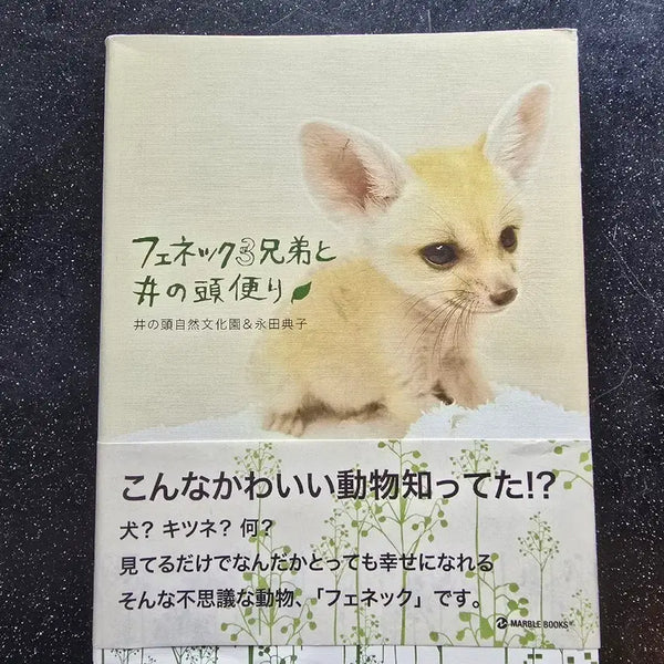 [BUNJANG] The Three Desert Foxes Japanese Original Book / 사막여우3형제 책 일본어원서