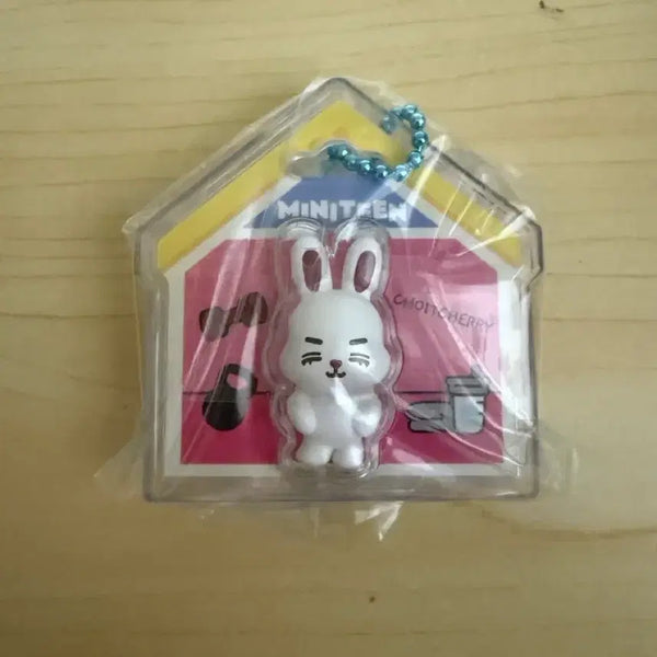 [BUNJANG] Seventeen Mini Teen Cherry Bandai Package Charm / 세븐틴 미니틴 쵯체리 반다이 패키지참 양도