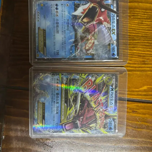 [BUNJANG] Pokemon Card Shiny Mega Gyarados ex / 포켓몬 카드 메가 가랴도스 이로치 ex 급처