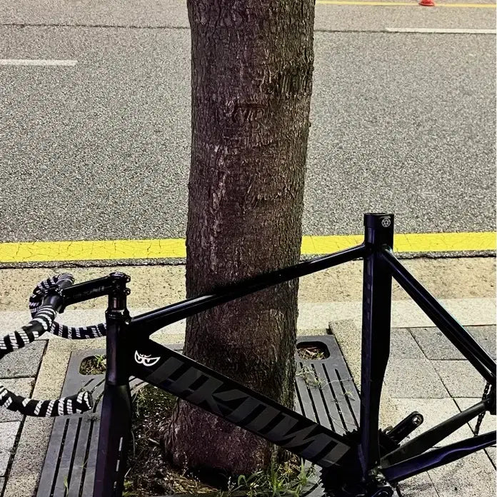 [BUNJANG] Unknown Single Speed 2 Euro Edition Bicycle / 언노운 싱귤 2 유로에디션개급처 판/대 쓰나미 선호
