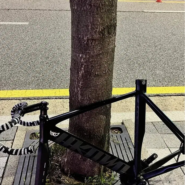 [BUNJANG] Unknown Single Speed 2 Euro Edition Bicycle / 언노운 싱귤 2 유로에디션개급처 판/대 쓰나미 선호