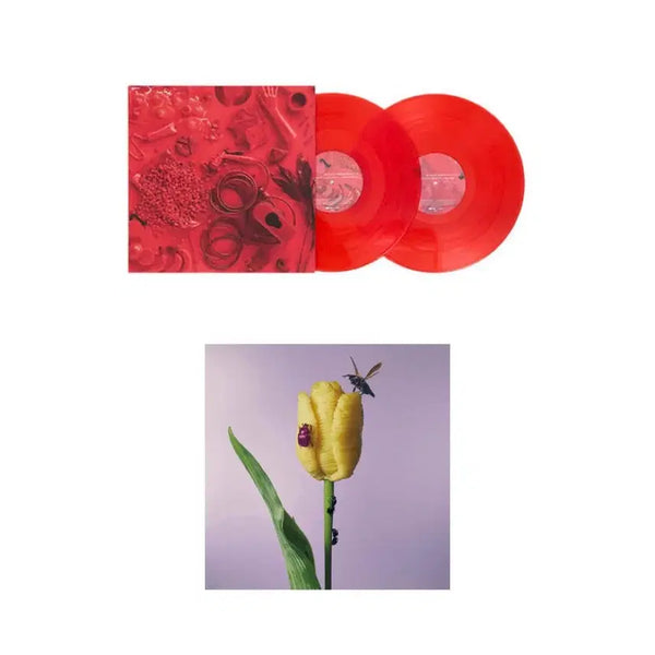 [BUNJANG] Aimyon 1st & 3rd Album LP Bundle Set / 아이묭 1집, 3집 LP 일괄