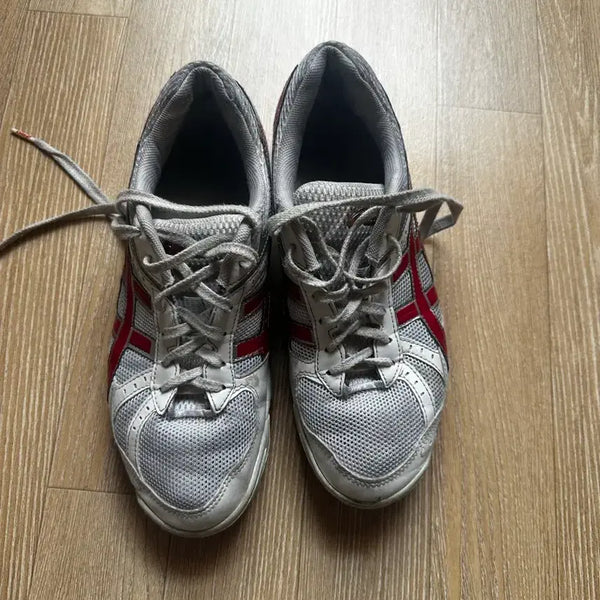 [BUNJANG] ASICS Roterrebre Running Shoes (265mm) / 아식스 로테리브레 265