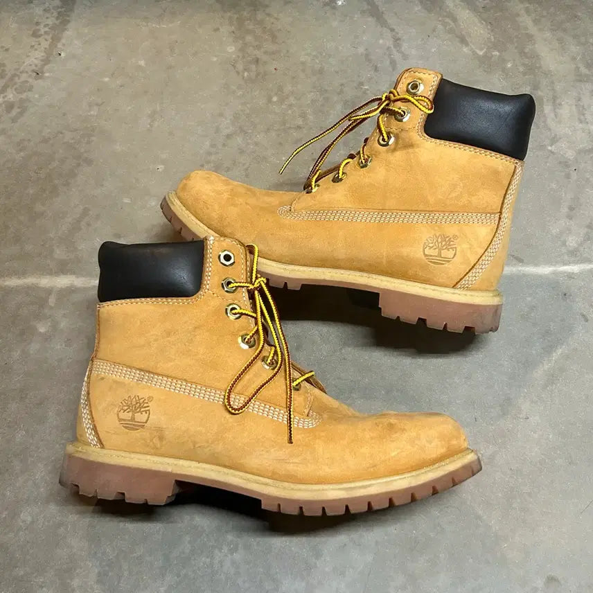 [BUNJANG] Timberland 6-Inch Premium Waterproof Work Boots / 245) 팀버랜드 6인치 프리미엄 워커 부츠