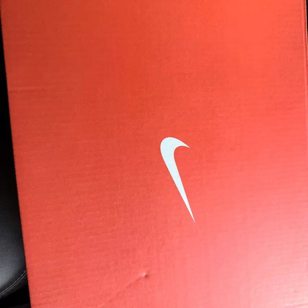 [BUNJANG] Nike Pegasus Premium Running Shoes / 나이키 페가수스 프리미엄