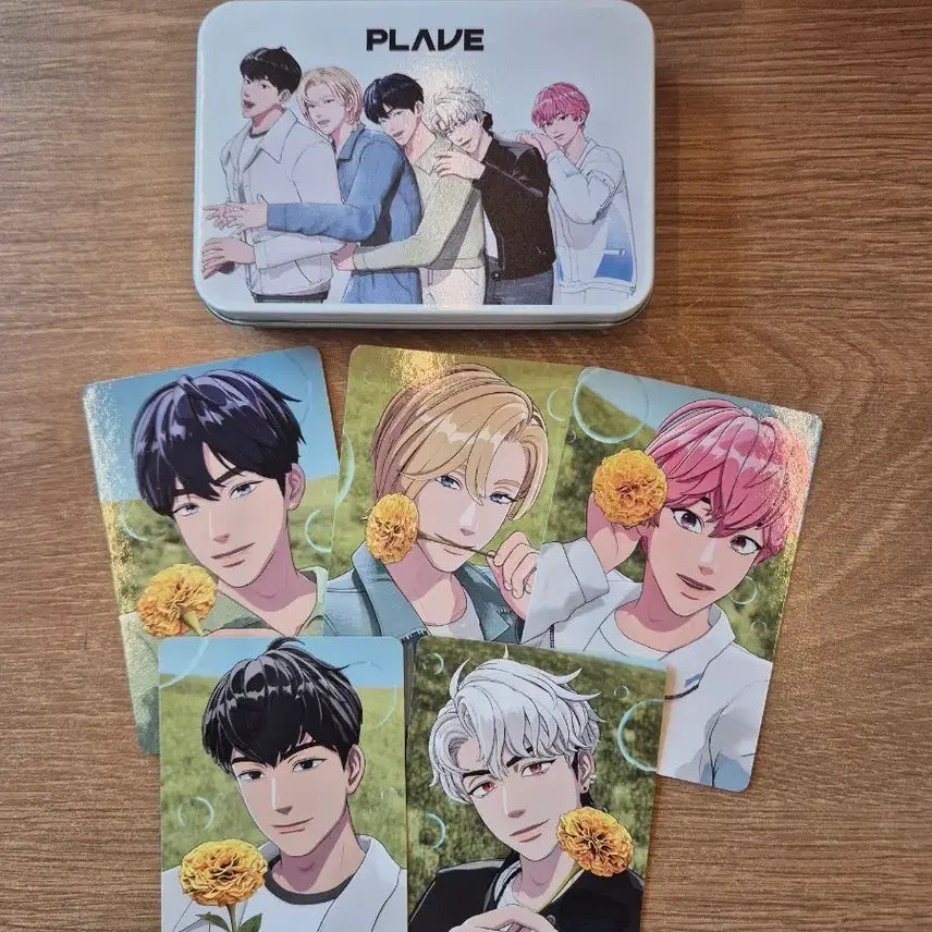 [BUNJANG] Plaeven Mediheal Photocard Tin Case Set / 플레이브 메디힐 포카+틴케이스