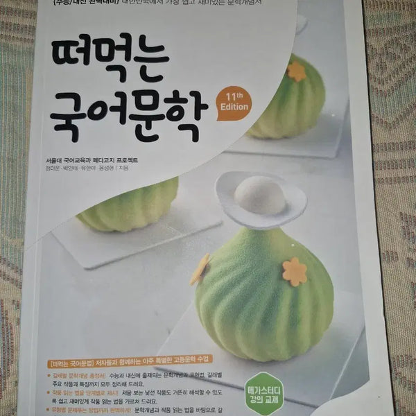 [BUNJANG] Tteomukneun Korean Literature 11th Edition / 떠먹는 국어문학 11th Edition 11판 [미사용,판매중