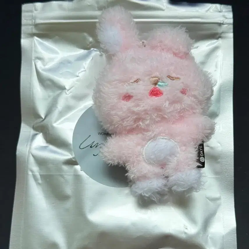 [BUNJANG] DAY6 Wonpil Unfiltered Secret Doll Keychain Kkulkkulpil / 데이식스 원필 언필터드 시크릿 인형 키링 쿨쿨필