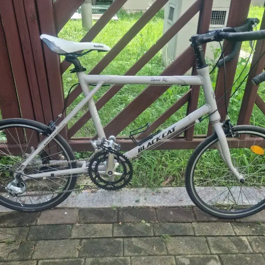 [BUNJANG] Black Cat Sport RC 20-inch Road Bicycle / 블랙캣 로드 20인치 자전거