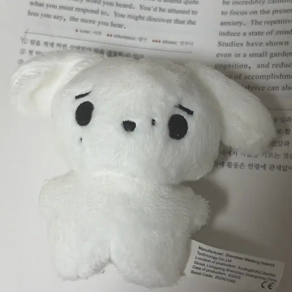 [BUNJANG] ENHYPEN Sunghoon Unofficial Goods Doll / 엔하이픈 성훈 비공굿 인형
