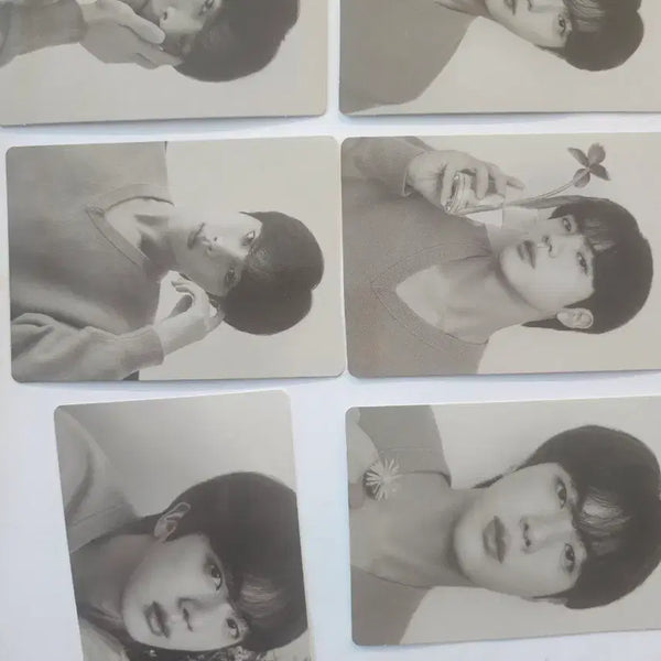 [BUNJANG] BTS Jin Monochrome Mini Photocard Set / 방탄소년단 모노크롬 미니포카 석진  드볼
