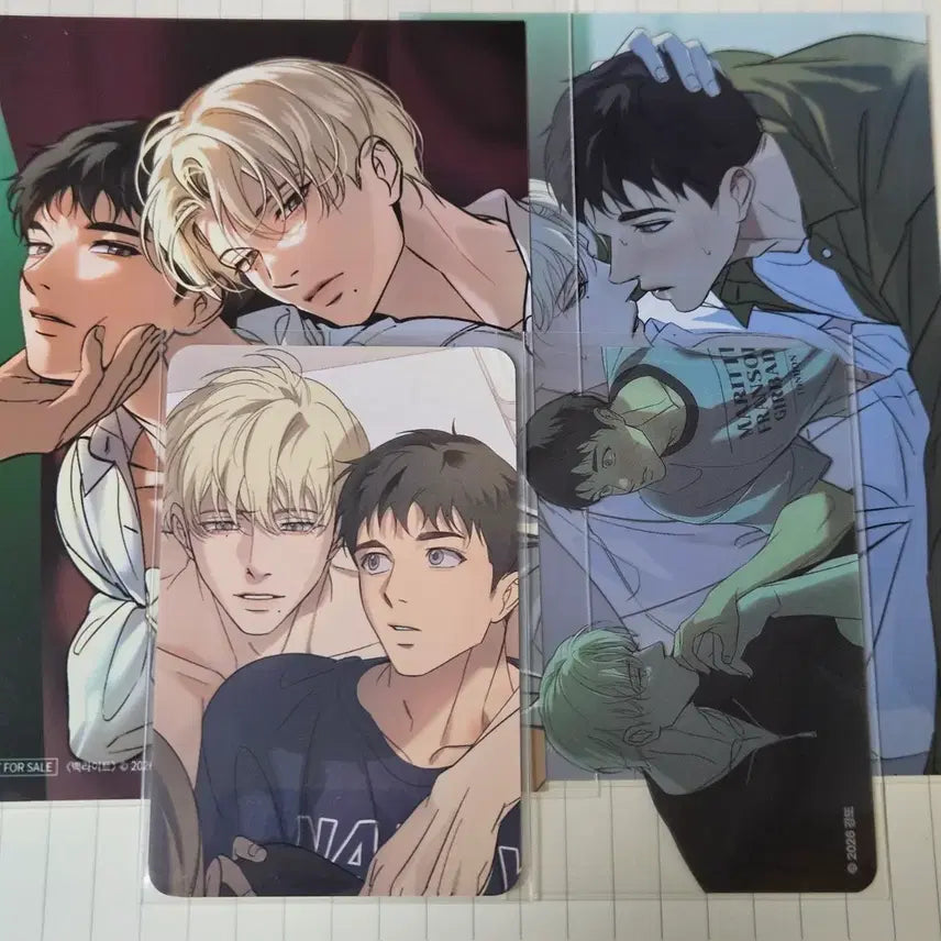 [BUNJANG] Backlight Sparkles Kinship Header Bundle Set / 일괄) 백라이트 스파클즈 특전 스킨십 헤더